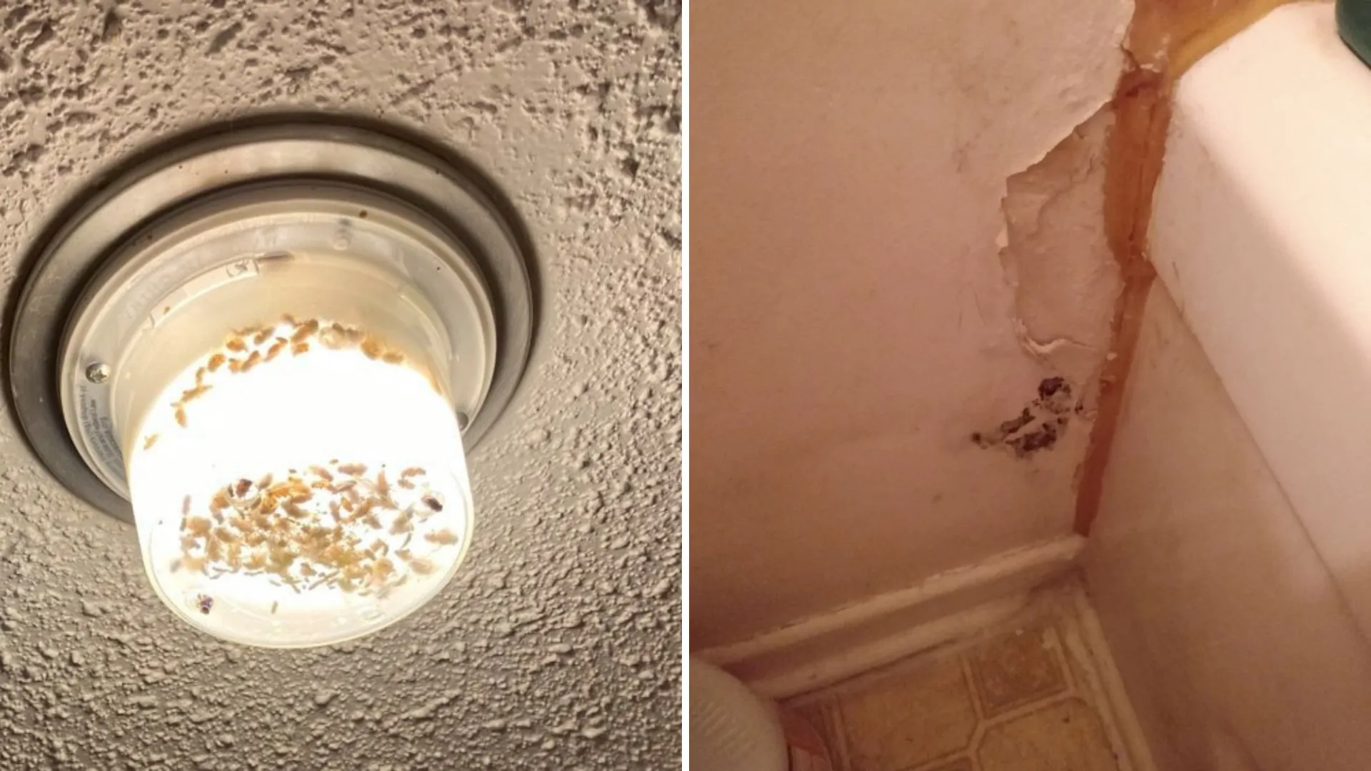 Une citoyenne de Bouchette déplore l’état de son logement 2