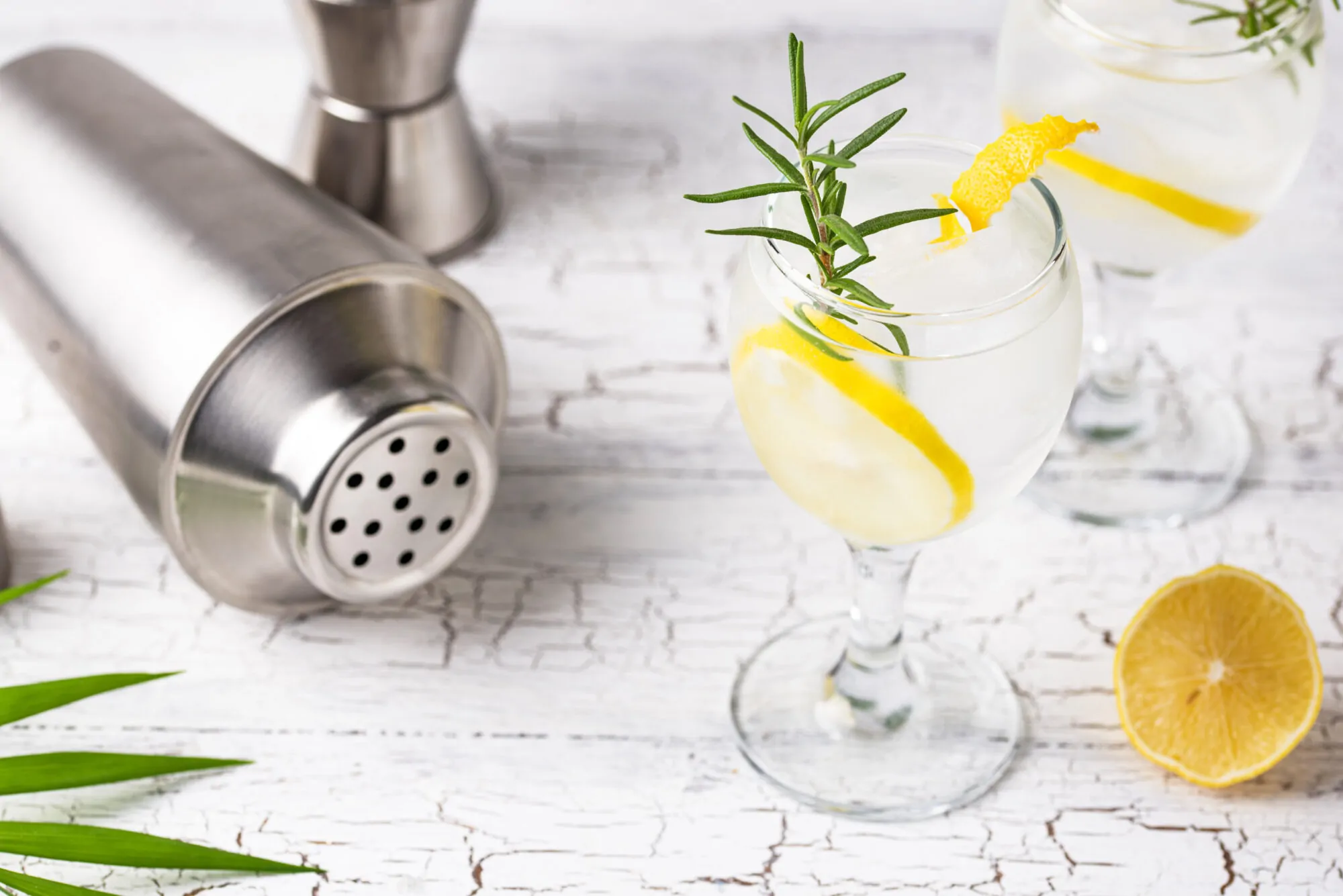 cocktail_gin_shaker cocktail_gin_shaker