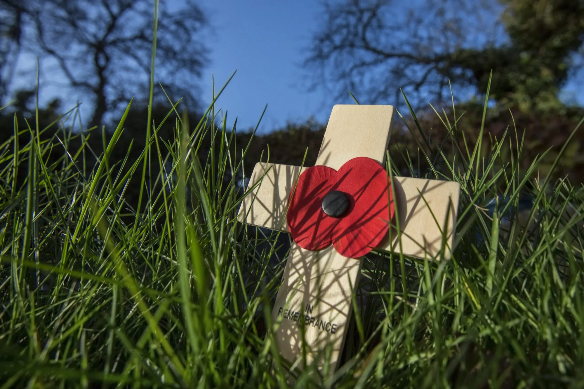 coquelicot_croix_jour-du-souvenir coquelicot_croix_jour-du-souvenir