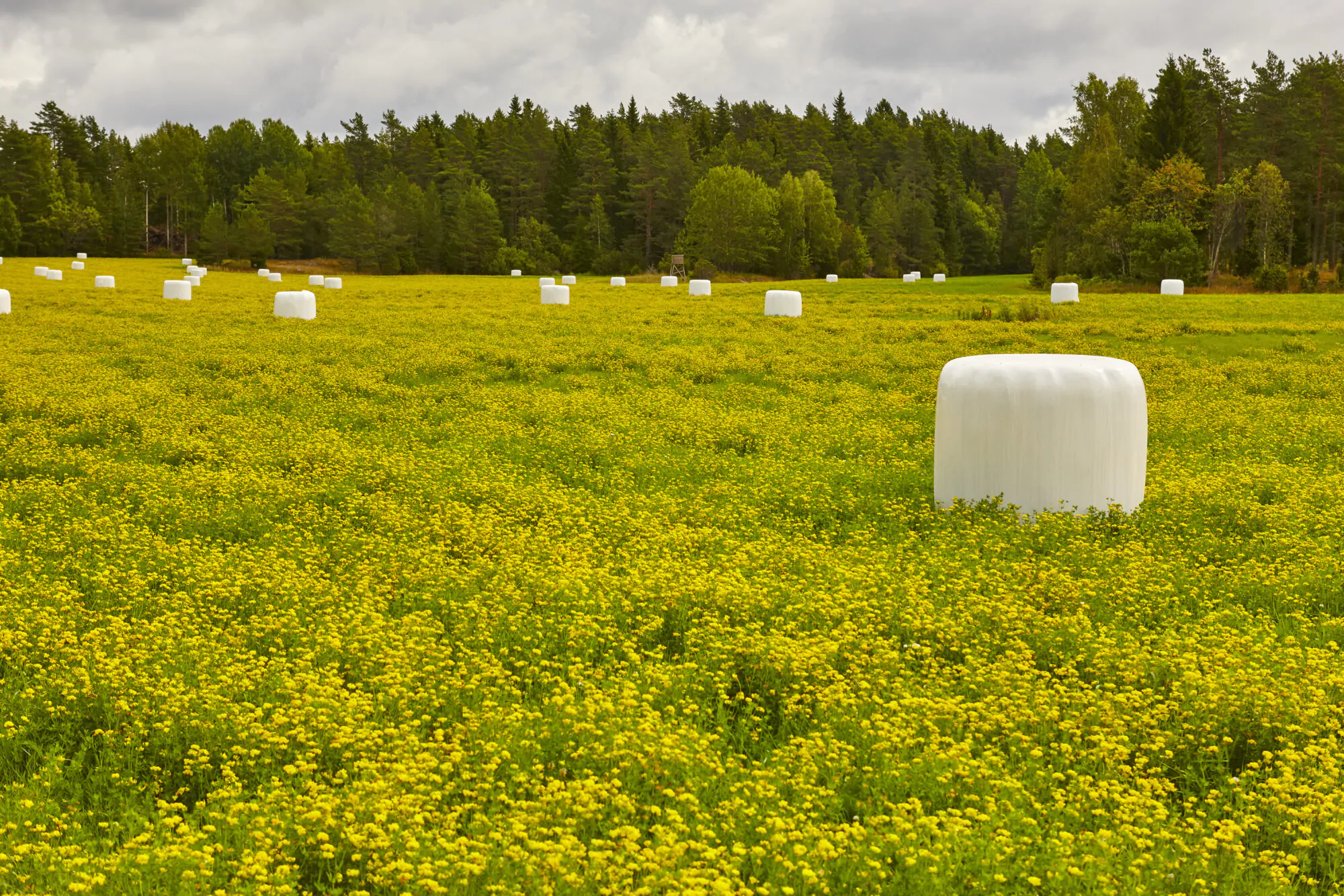 ensilage_foin_plastique_agricole