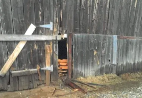 Vandalsime_Cayamant_27avril-2022