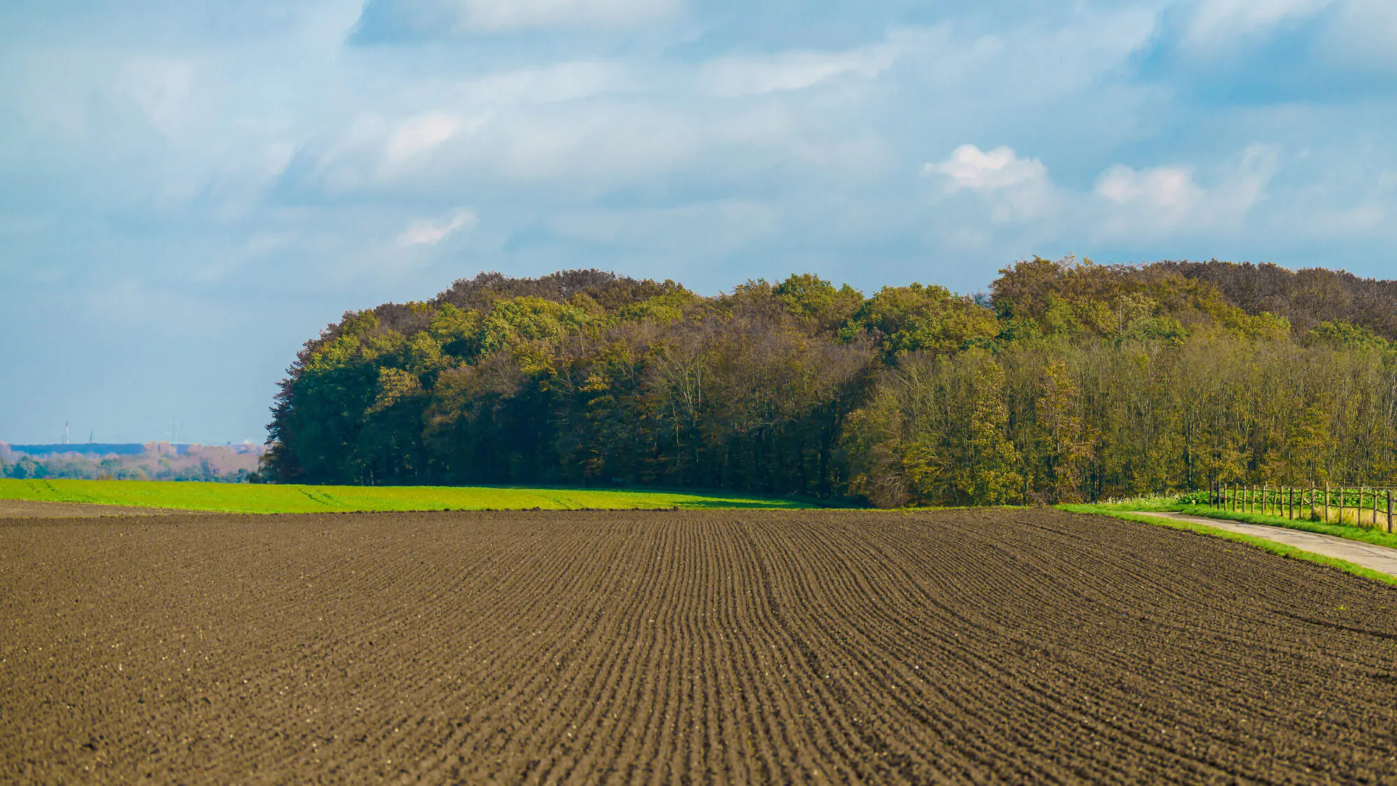 Terre agricole