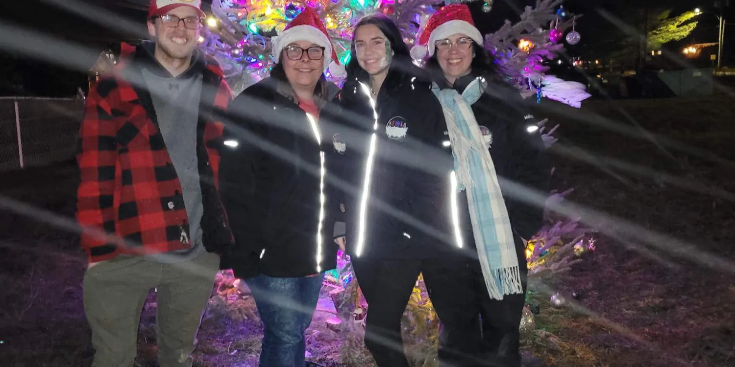 Illumination sapin JSFVG modifiée