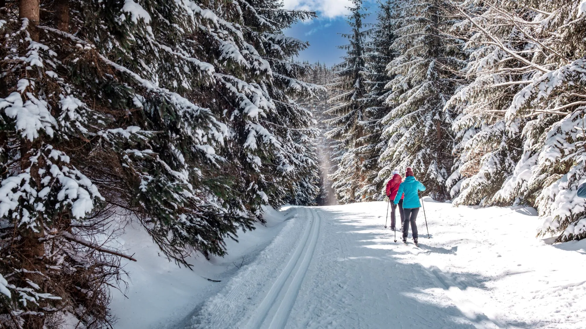 Ski de fond