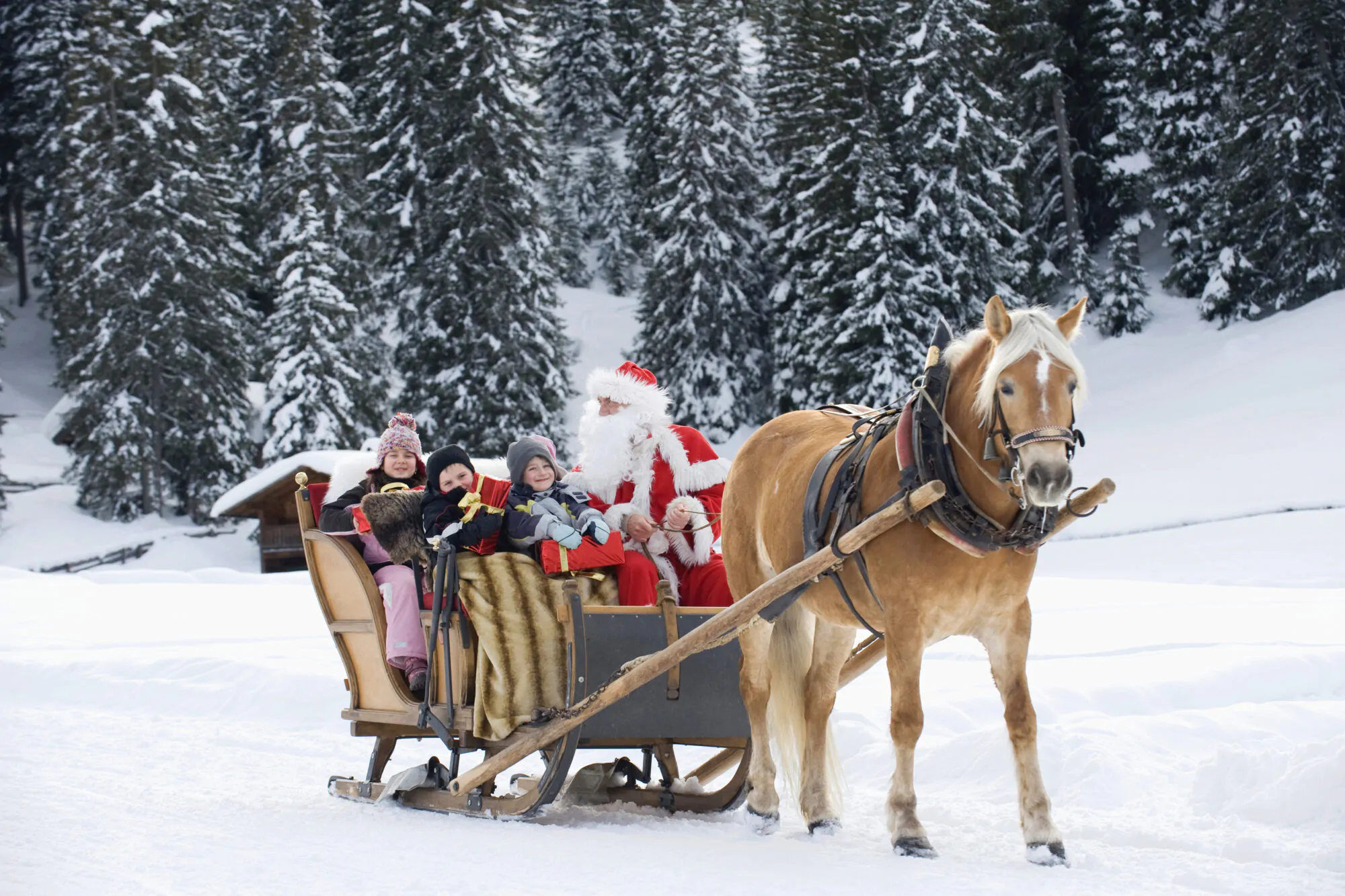 Traineau Père Noël Enfants Cheval