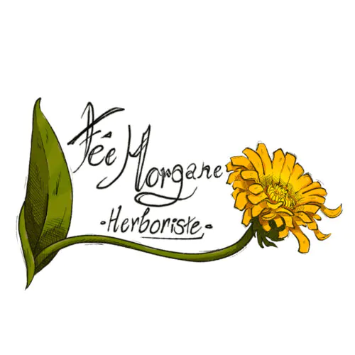 FÉE MORGANE HERBORISTE