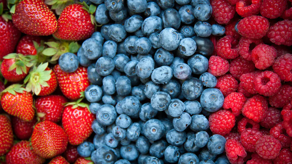 Fruits