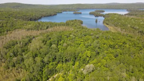 Lac des cèdres