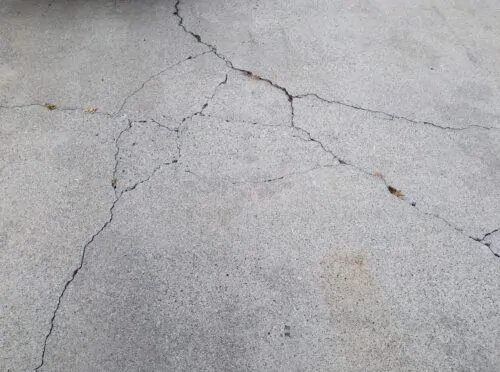 crack-in-cement-driveway-2023-11-27-04-49-46-utc
