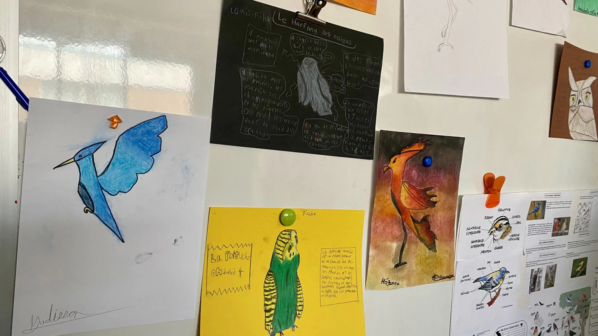 vernissage académie sacré-coeur