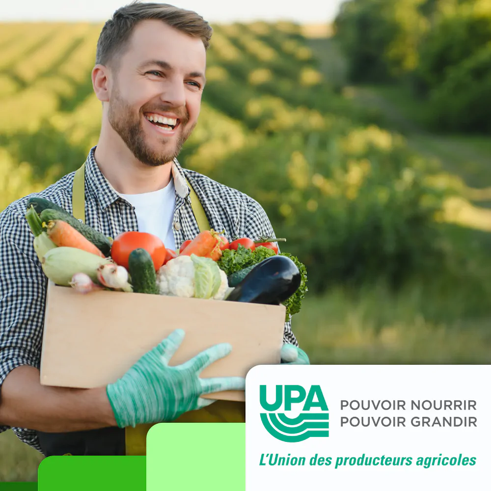 UPAVG IMA