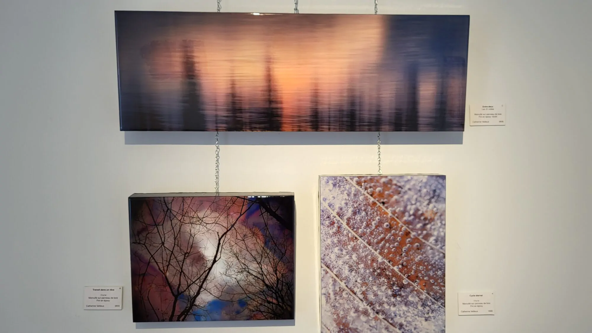 Catherine Veilleux Oeuvres