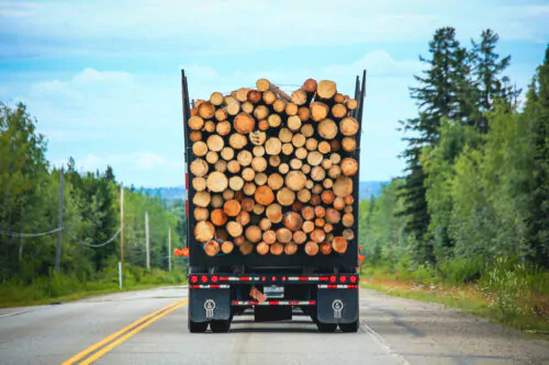 Camion transport bois crédit photo Envato