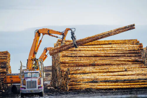 Un camion et de la machinerie lourde dans une cour à bois, en train de manipuler du bois en longueur à côté d'une pile de troncs d'arbres entassés.