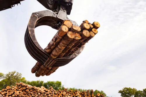 Gros plan en contre-plongée d'une chargeuse à grumes tenant entre ses pinces des billots de bois. On voit en arrière-plan une rangée de billots de bois et un ciel gris.