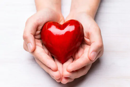 Red wood heart in child hands.