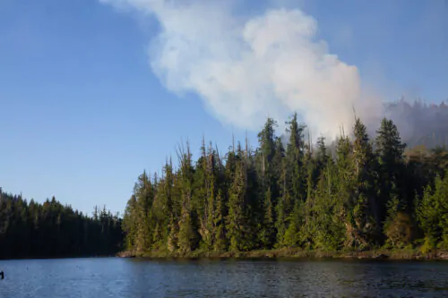 Des conifères au bord d'un lac. En arrière-plan, un nuage de fumée s'élève de la forêt dans un ciel bleu.
