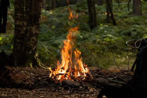 Feux à ciel ouvert en forêt