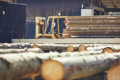 Des troncs d'arbres sont alignés au premier plan de la photo. En arrière, on peut voir de la machinerie lourde et une pile de planches, devant un bâtiment d'usine.