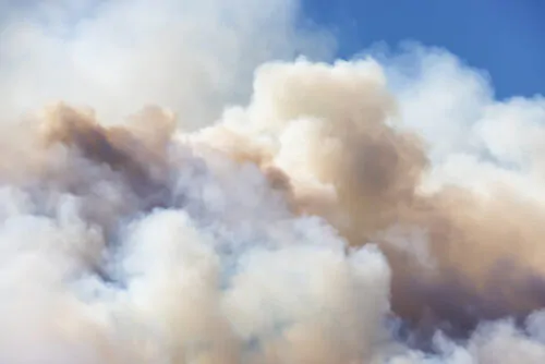 Des panaches de fumée de feux de forêt s'élève dans un ciel bleu.