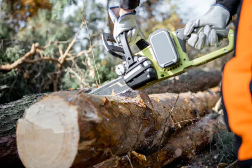 Un bûcheron professionnel découpe un tronc d'arbre avec une scie à chaîne.