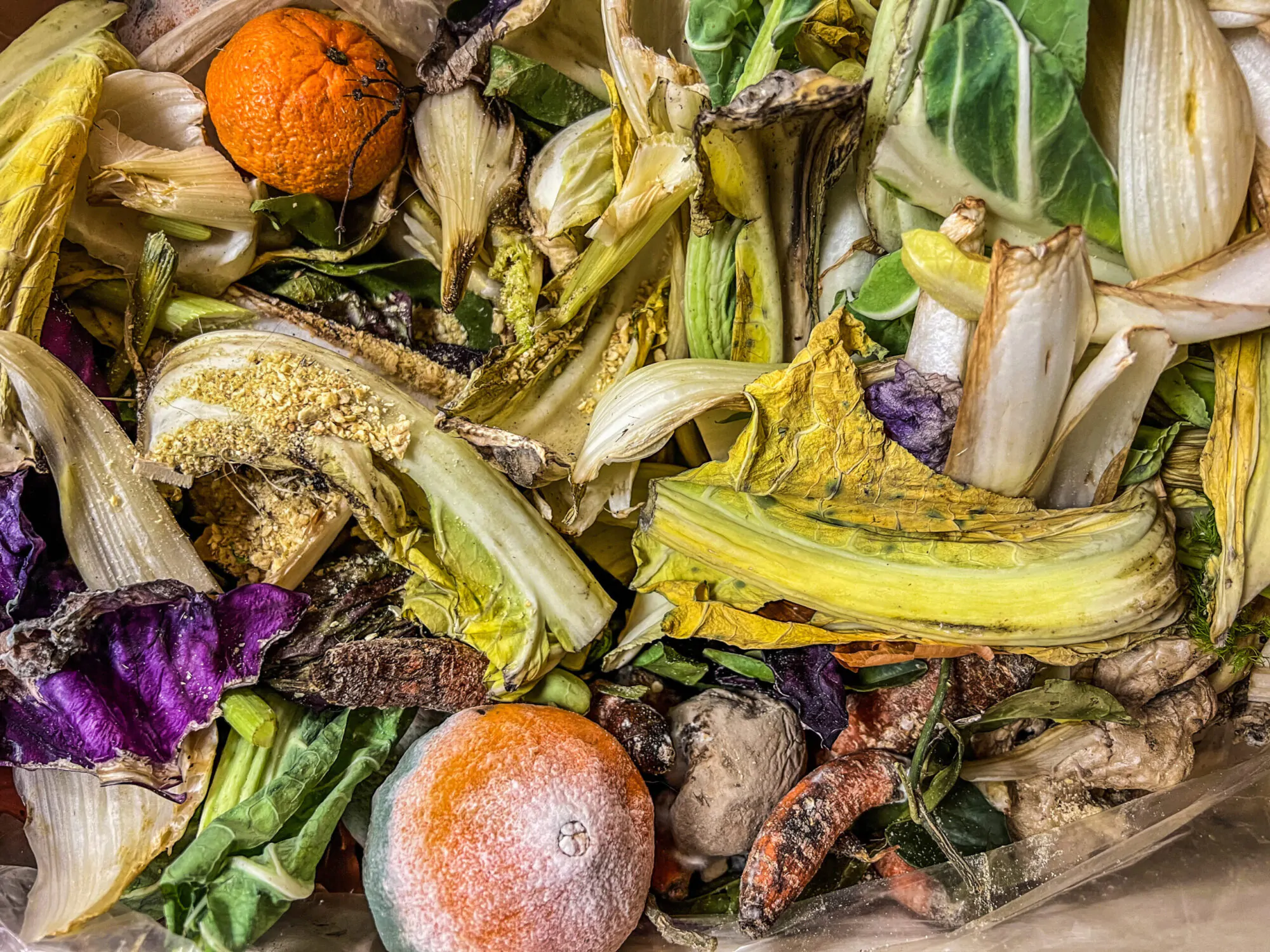 Des fruits et légumes pourris.