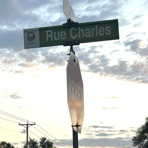 Un panneau de rue indiquant « Rue Charles » sur fond vert, accompagné du logo de la ville de Déléage. En dessous, on distingue l’arrière d’un panneau d’arrêt, avec un ciel nuageux éclairé par le soleil couchant en arrière-plan.