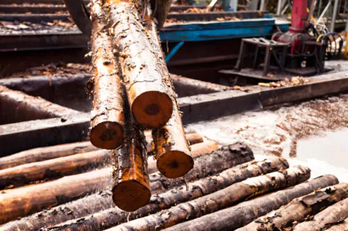 Des troncs d'arbres sont transportés par une machine dans un environnement qui évoque une usine de sciage.