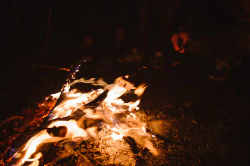 Roasting marshmallows on the sprigs in the fire outside at the fire at the night.