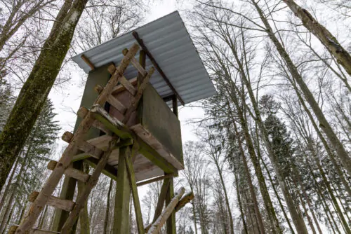 Une cabane de chasse dans la forêt vue d'en bas.
