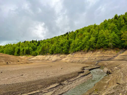 dried-up-lake-2025-01-11-01-17-12-utc