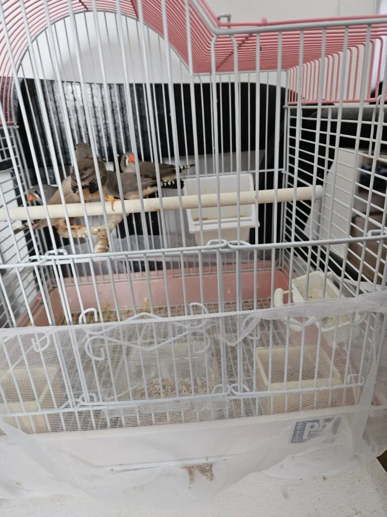 gallery_17629566029383664449884780297382