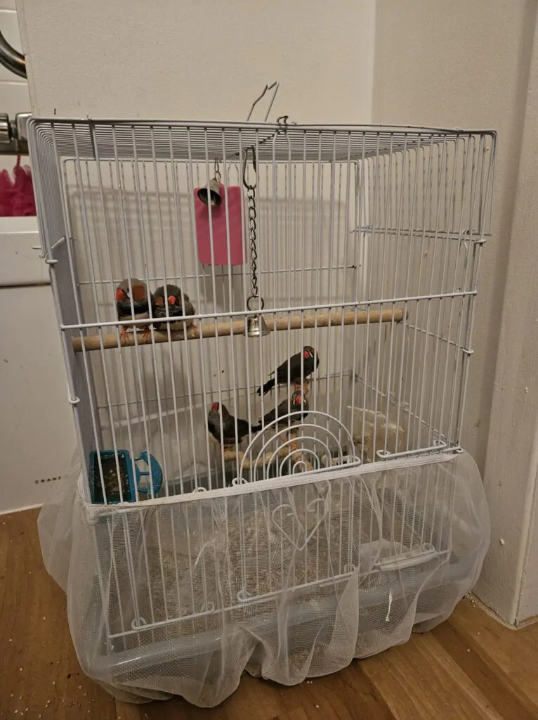 gallery_17629566794102318732424267818881