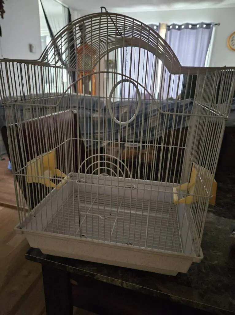 gallery_17629567465935886559095404285093